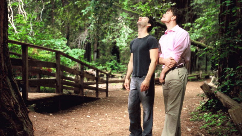 кадр из фильма Секвойи вечнозелены