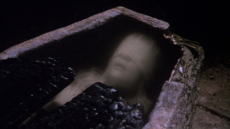 кадр из фильма Лесной наблюдатель