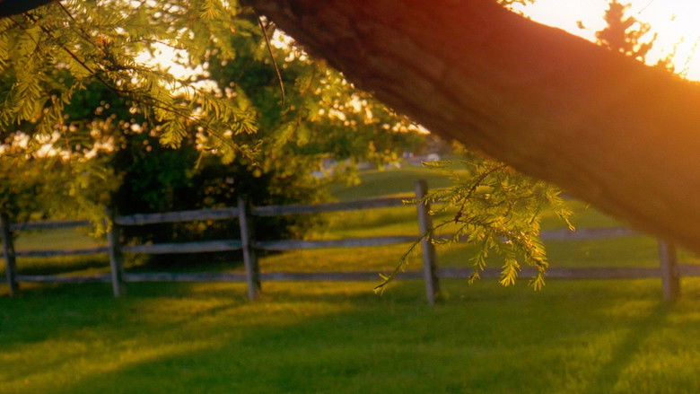 кадр из фильма Milestone No. 2