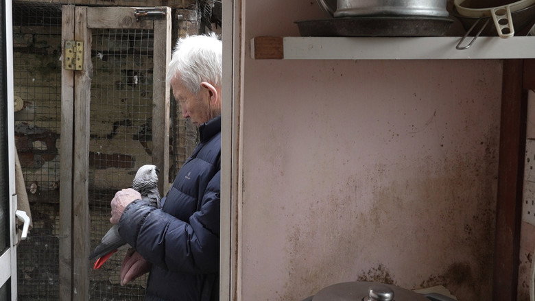 кадр из фильма Tommy My Neighbour
