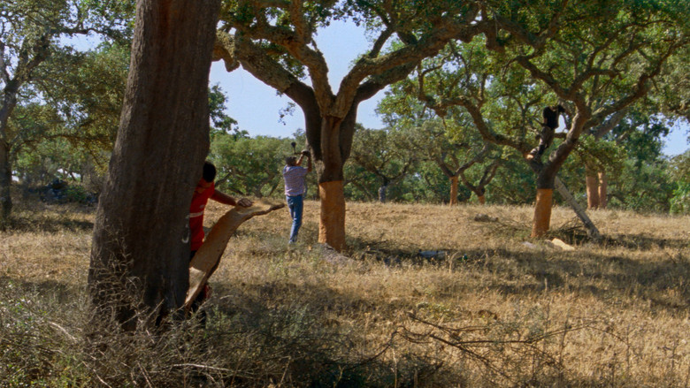 кадр из фильма As Estações