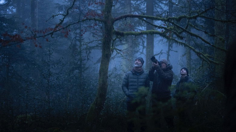 кадр из фильма Le chant des forêts