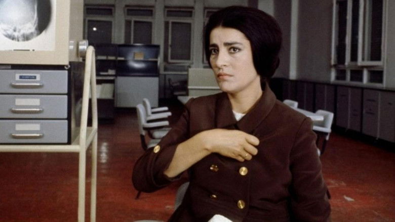 кадр из фильма N.P. - Il segreto