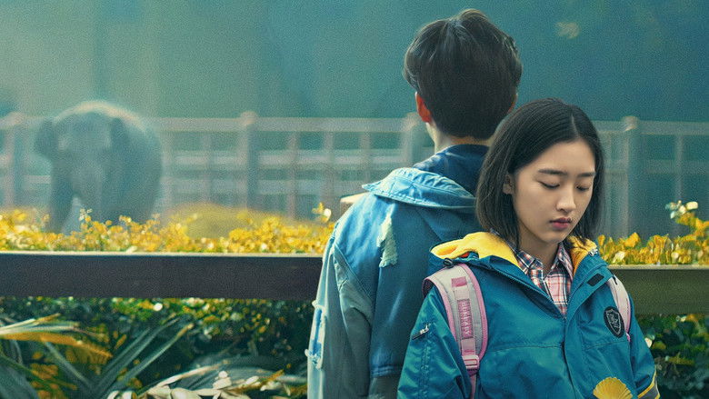 кадр из фильма 会考试的猛犸象