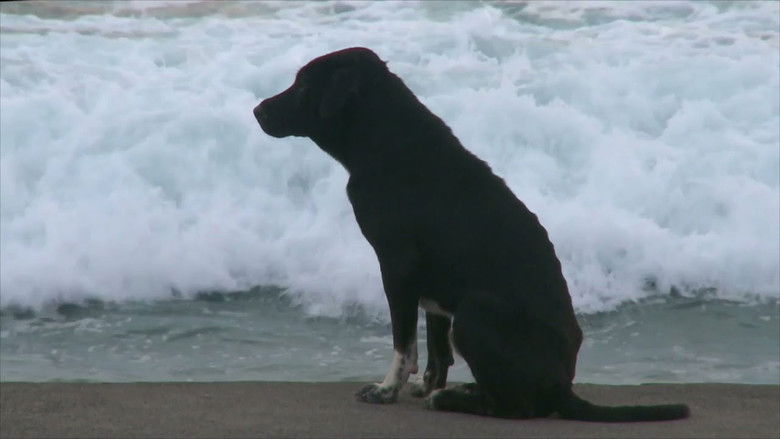 кадр из фильма Bali: Island of the Dogs