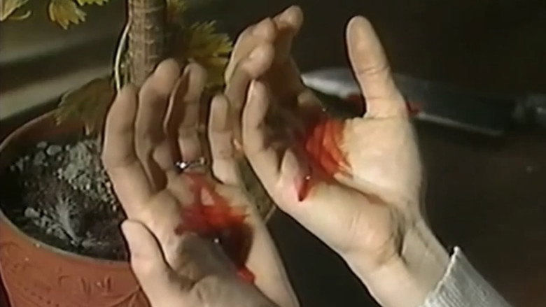 кадр из фильма 吸血木