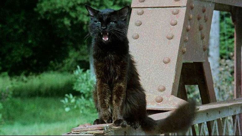 кадр из фильма Cries in the Night