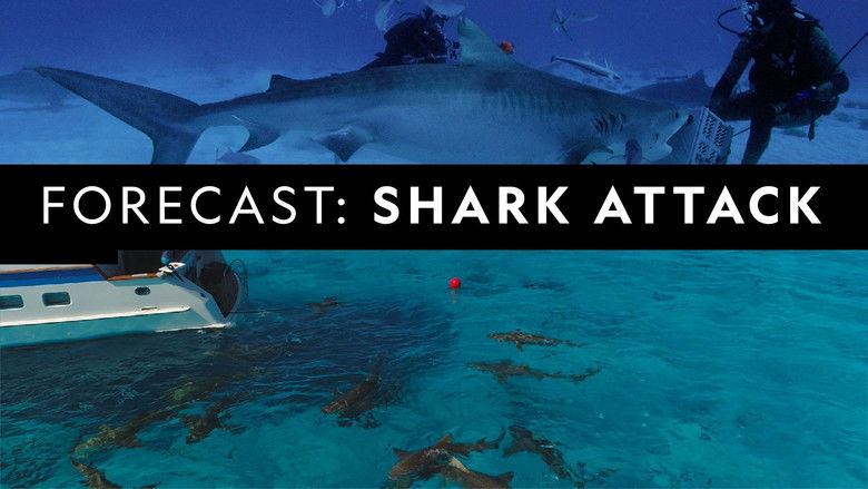 кадр из фильма Forecast Shark Attack
