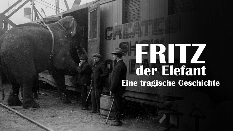 кадр из фильма La Tragique Histoire de Fritz l'éléphant