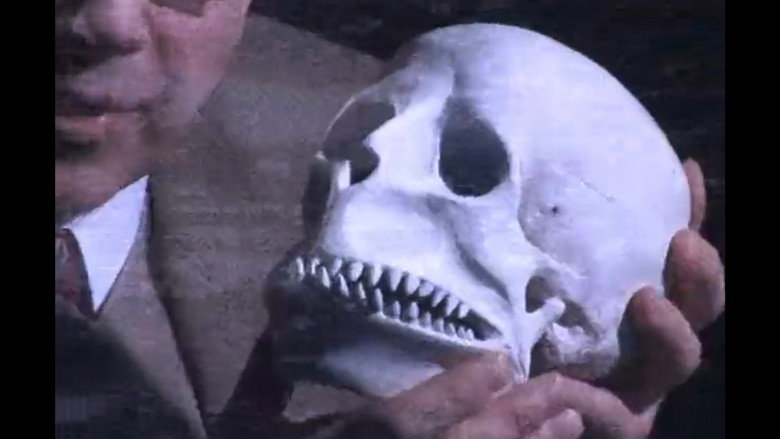 кадр из фильма Окровавленный пляж