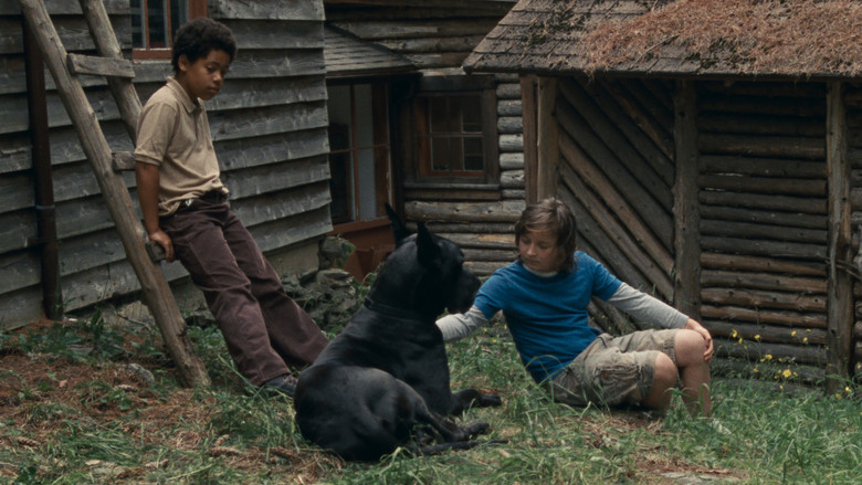 кадр из фильма Аллен Саншайн