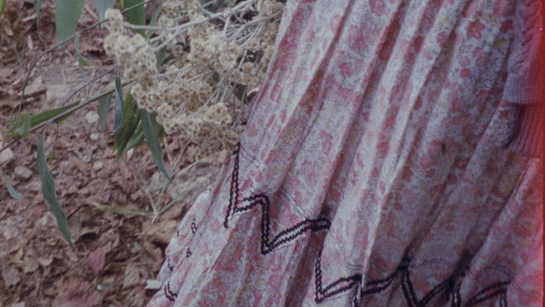 кадр из фильма Por dentro somos color