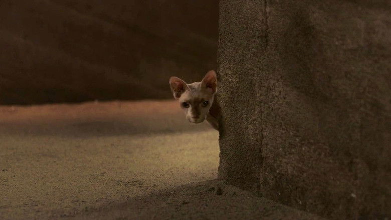 кадр из фильма Пятерка кладоискателей