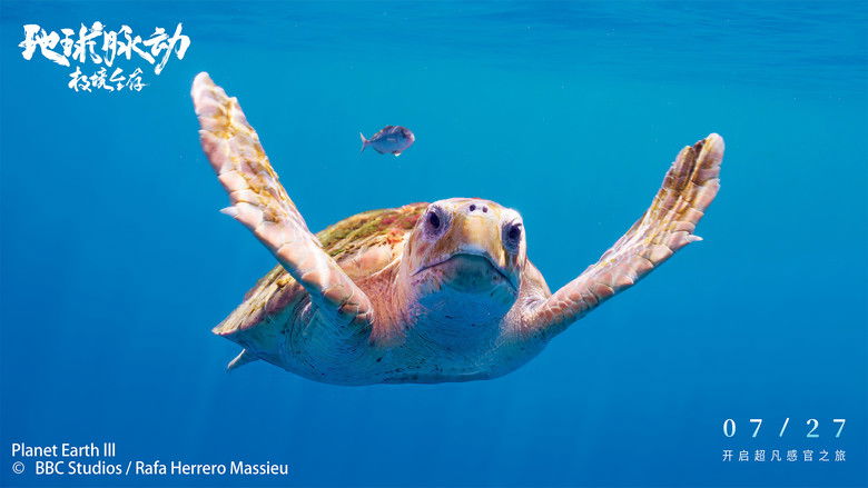 кадр из фильма Planet Earth: Hostile Paradise or Perfect Hell?