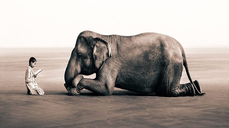 кадр из фильма Пепел и снег