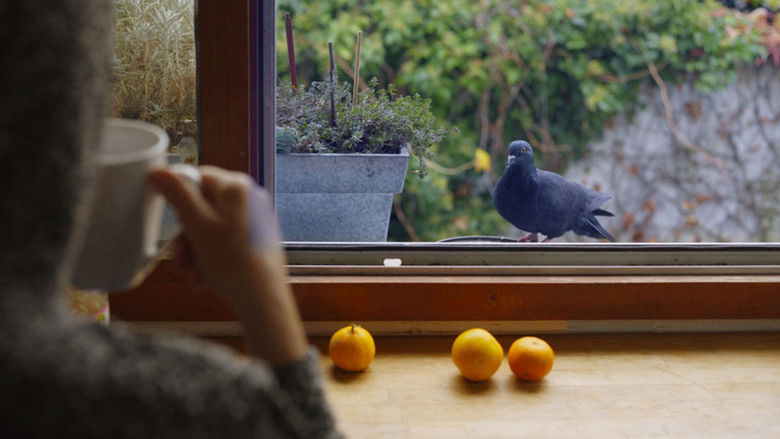 кадр из фильма Mes voisins sauvages