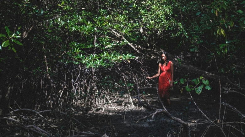 кадр из фильма Stone Turtle