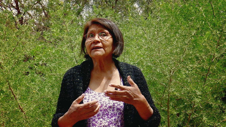 кадр из фильма El cost amagat