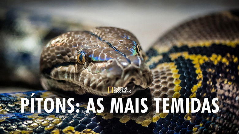 кадр из фильма Monster Constrictors