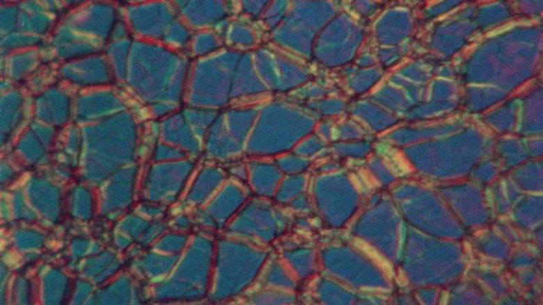 кадр из фильма Cristaux liquides