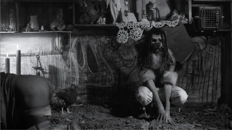 кадр из фильма Natureza Morta