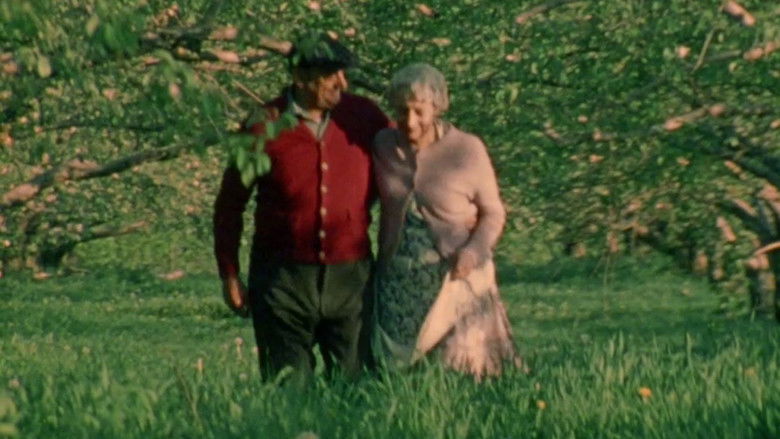 кадр из фильма Les dernières fiançailles