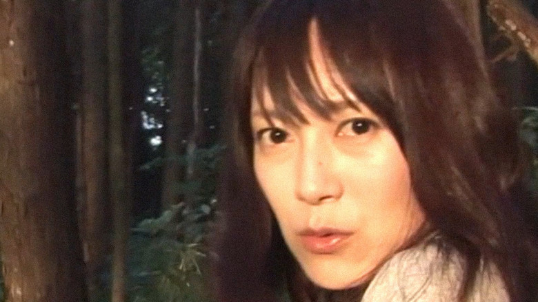 кадр из фильма 心霊ドキュメント 実在してはならない悪霊呪怨現象!!