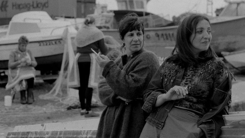 кадр из фильма As Gaivotas Cortam o Céu