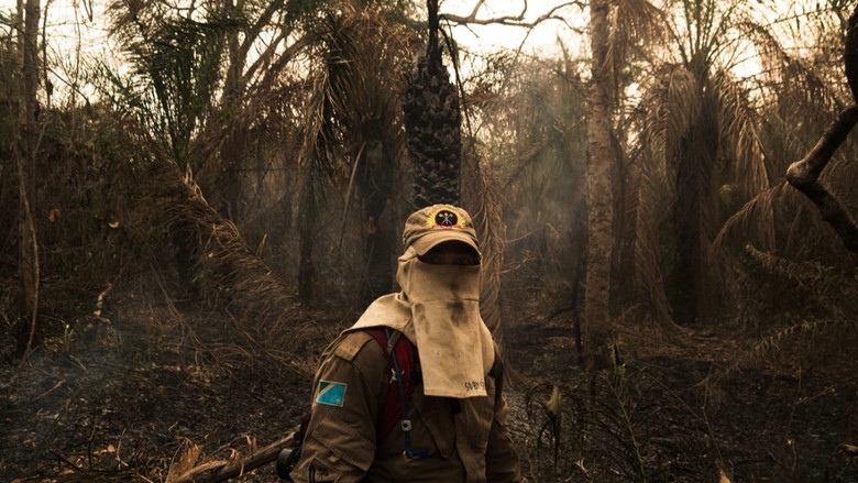 кадр из фильма Sinfonia da Sobrevivência