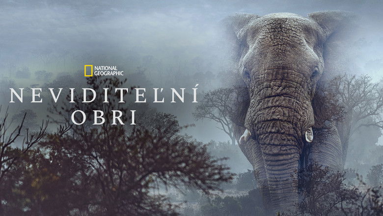 кадр из фильма Слоны-призраки