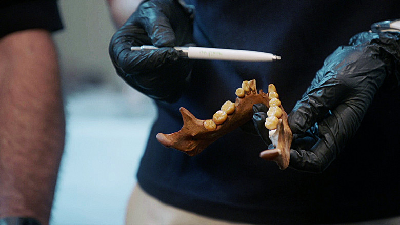 кадр из фильма NOVA: First Face of America