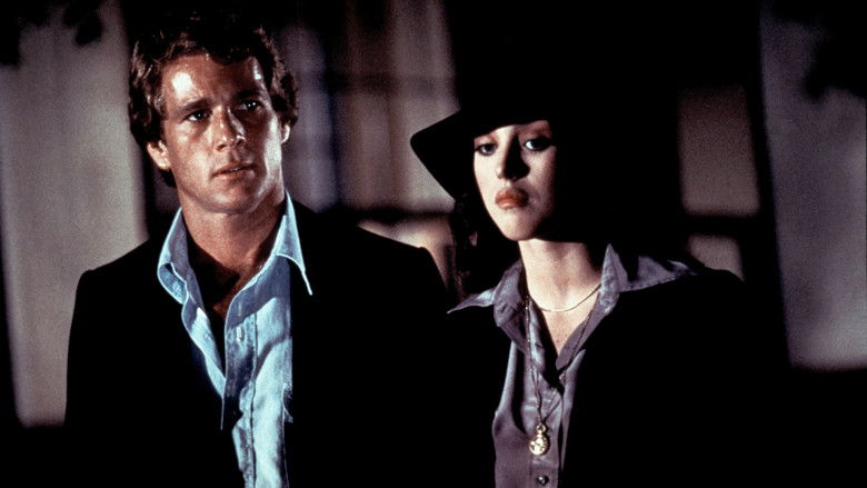 кадр из фильма Водитель