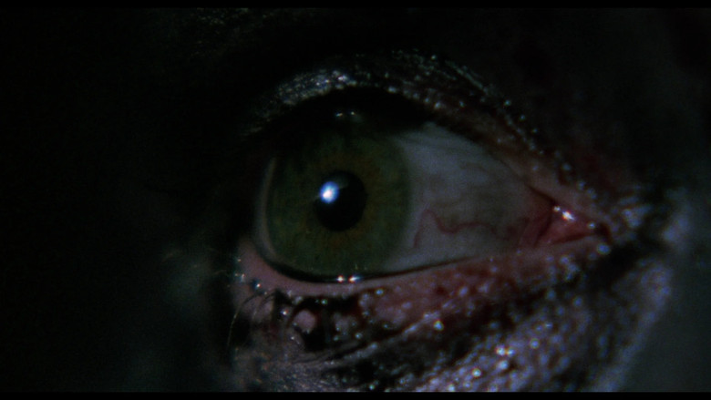 кадр из фильма Playroom