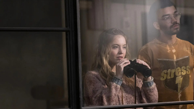 кадр из фильма Вуайеристы