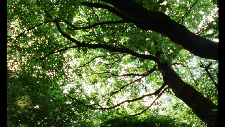 кадр из фильма Det Hinsides