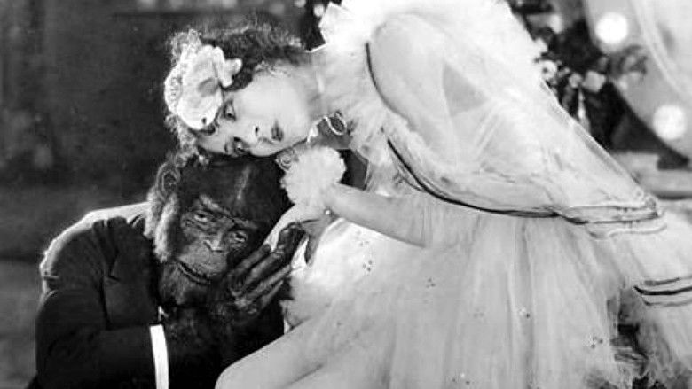 кадр из фильма The Monkey Talks