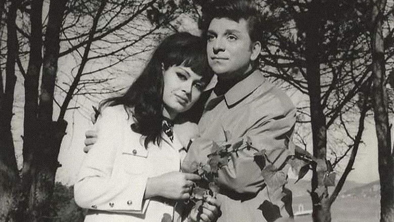 кадр из фильма Düğün Gecesi