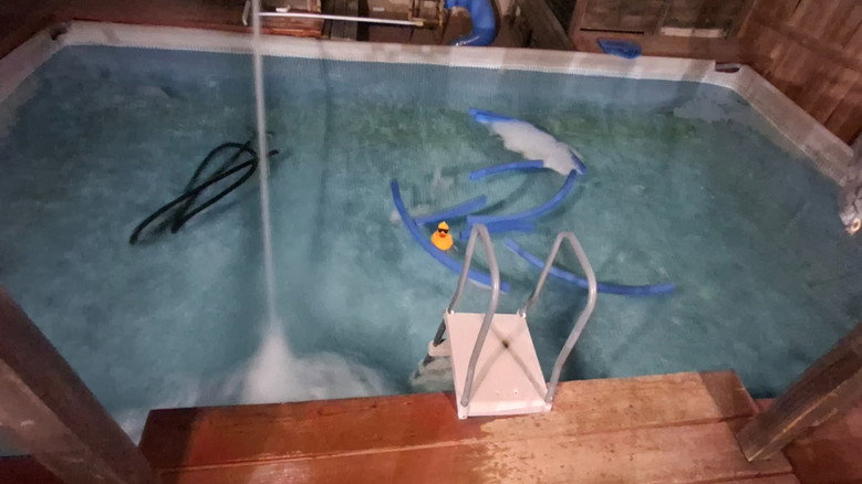 Don't Swim At (The) Night