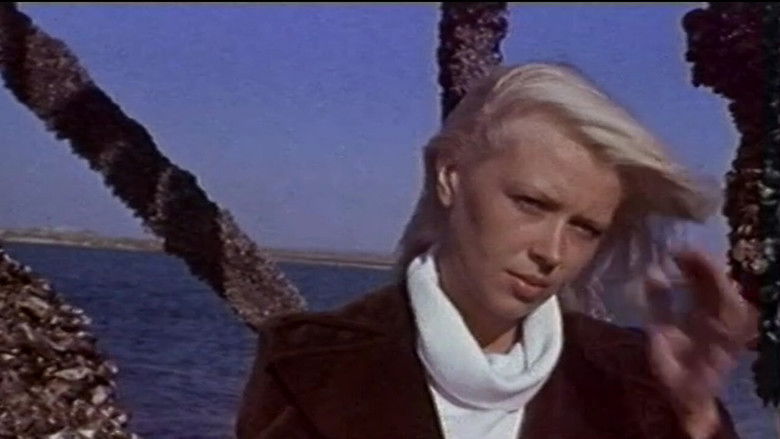 кадр из фильма Акванавты