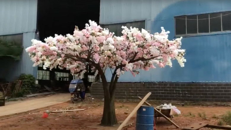 кадр из фильма Green Grey Black Brown