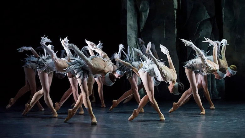 кадр из фильма Lac (After Swan Lake)