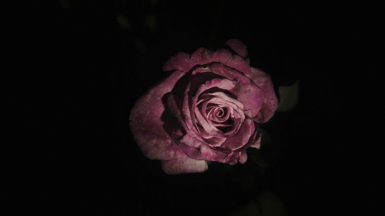 кадр из фильма Le météore