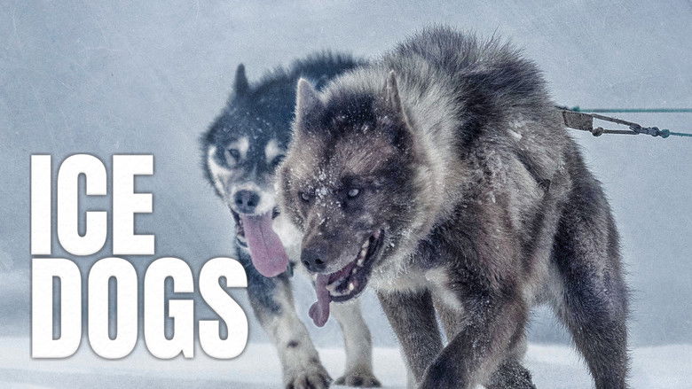 кадр из фильма Ice Dogs: The Only Companions Worth Having