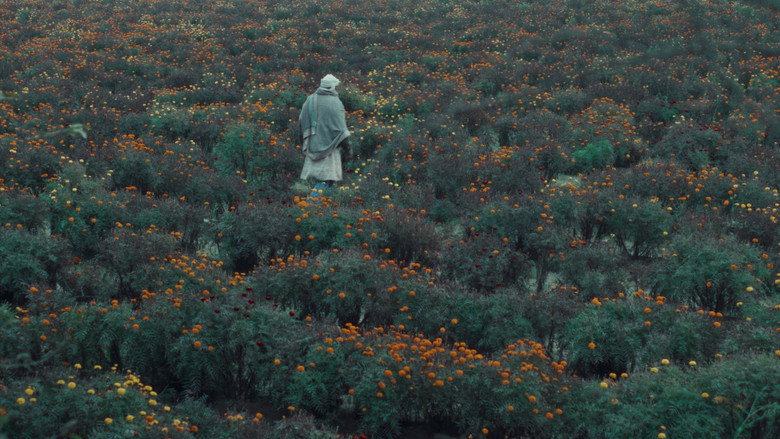 кадр из фильма खाल बछड़ा