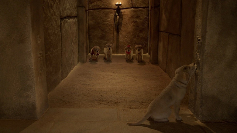 кадр из фильма Пятерка кладоискателей