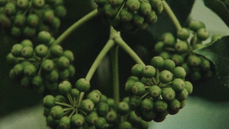 кадр из фильма 兆