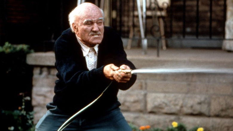 кадр из фильма Соседи по комнате