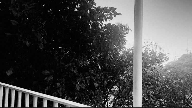 кадр из фильма Sanidade em Memória