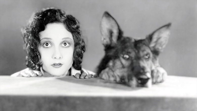 кадр из фильма Where the North Begins