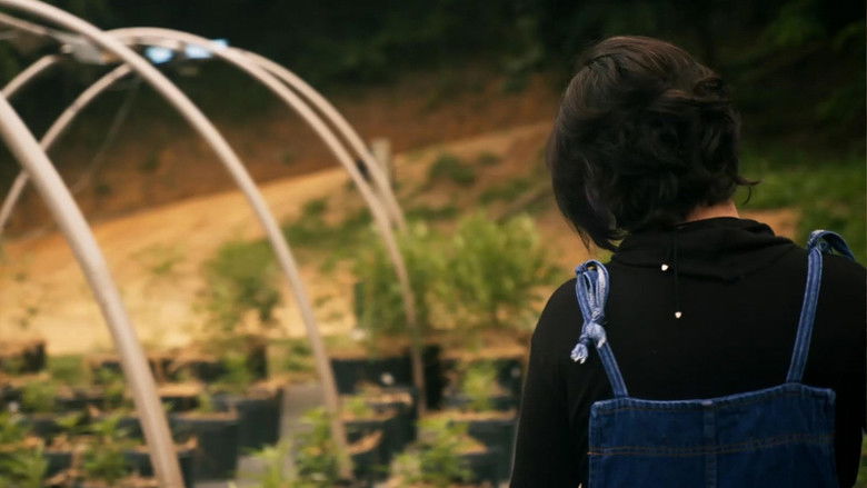 кадр из фильма O Outro Mundo de Sofia